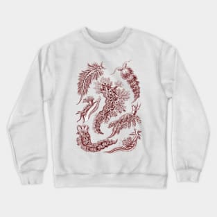 Ernst Haeckel Nudibranchia Sea Slug Red Crewneck Sweatshirt